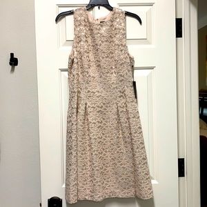 NWT Vince Camuto Blush Color Lace Overlay Size 8 Cocktail Dress.